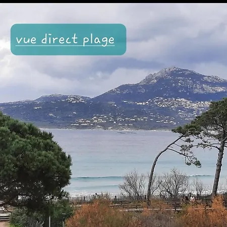 Appartement Caroline Calvi Direct